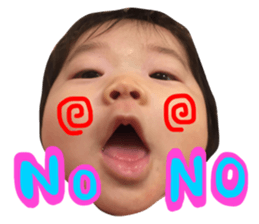 45129079