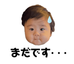 451533675