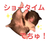 451781511