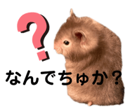 451781519