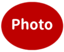 451919300