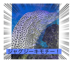 452037758