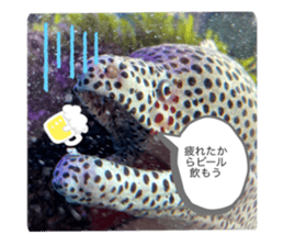 452037765