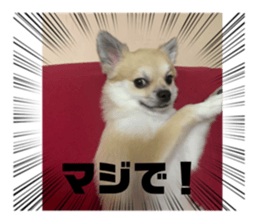 452233657