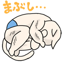 452253