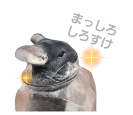 452301938