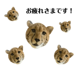 452305866