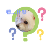 452450761