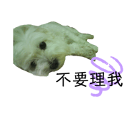 452450768