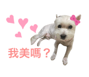 452450772