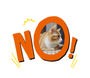 452526005