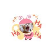 452526027