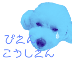 452533897