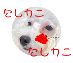 452533898