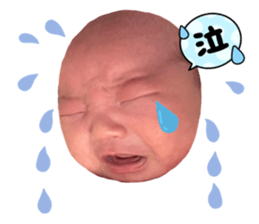 452615982