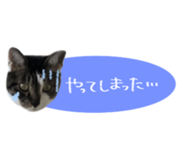 452736302