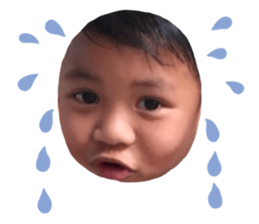 452754024