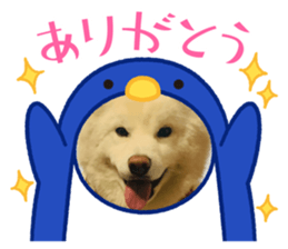 452819507