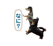 452821723