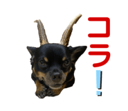 452821724