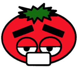 4530595