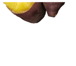 453090683