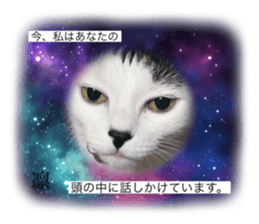 453108963