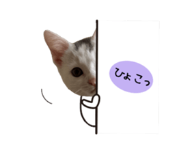 453277768