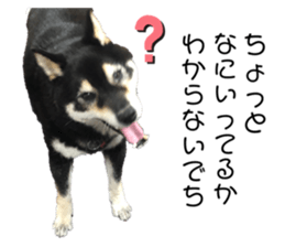 453294433
