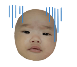 453312861