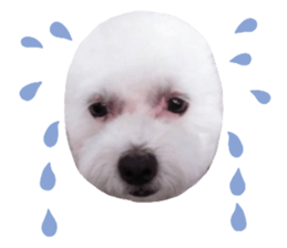453327355