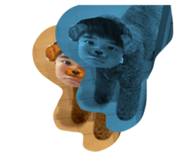 453337236