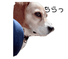 453355296