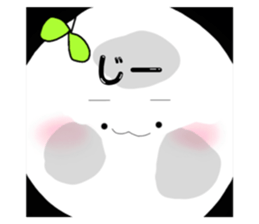 453362981