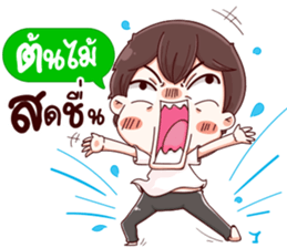 45348914