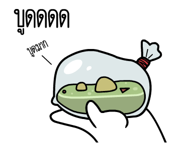 หัวกลมดุ๊กดิ๊ก V.17 รูปที่ 1