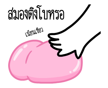 หัวกลมดุ๊กดิ๊ก V.17 รูปที่ 13