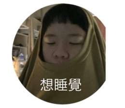 453732799