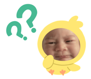 453852027