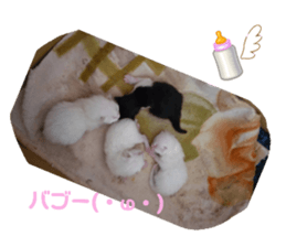 453879490