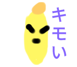 453896036
