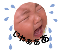 453960419