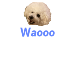 454032901