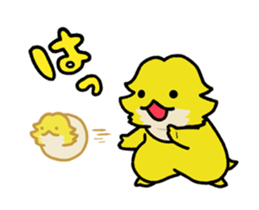 454048844