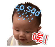 45405217