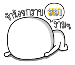 45411440
