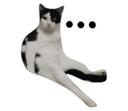 45426262