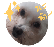 45426267