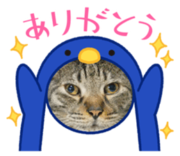 454339320