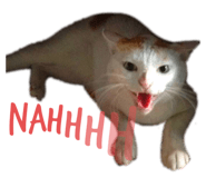 454347626